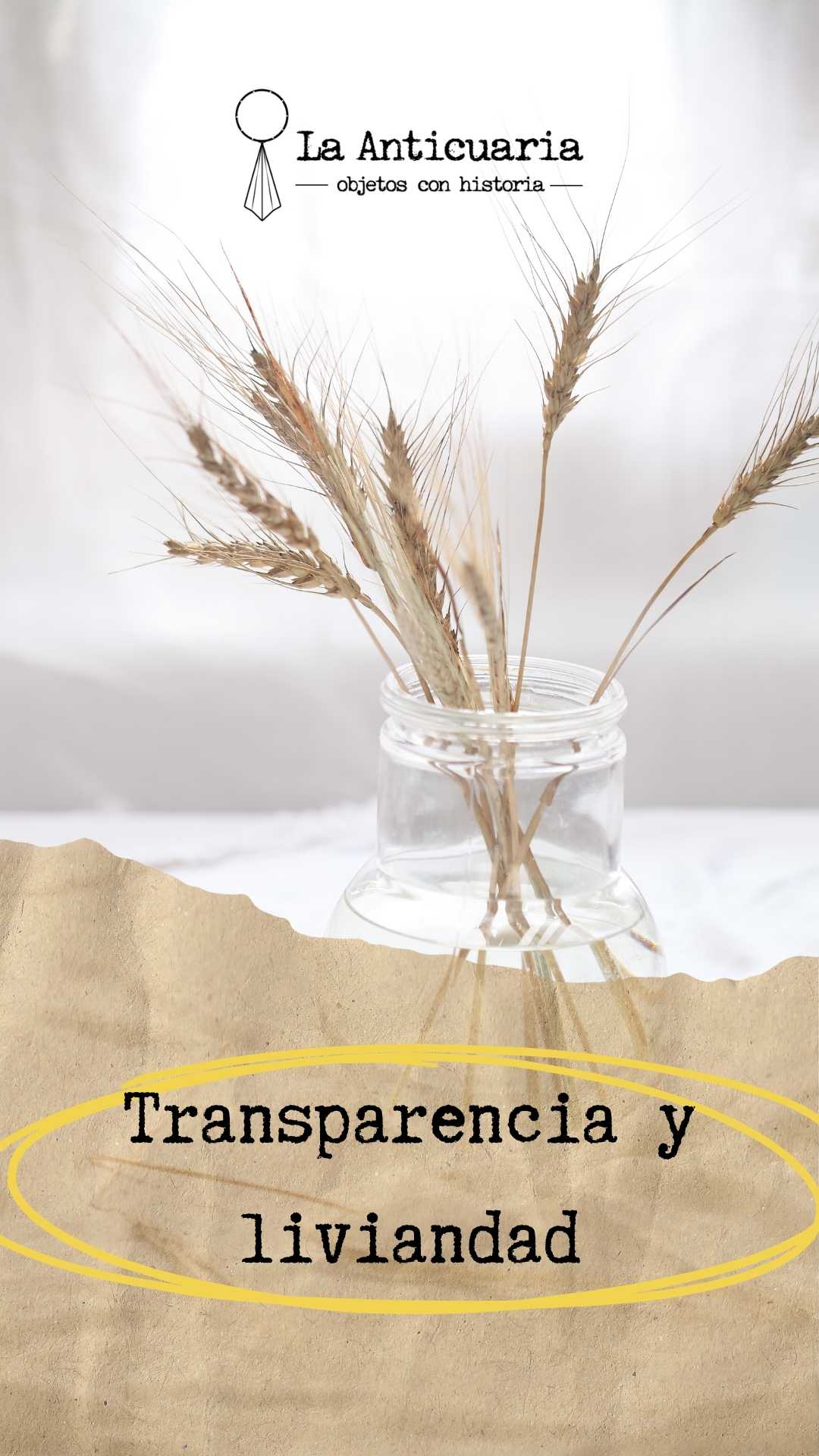 Transparencia y liviandad