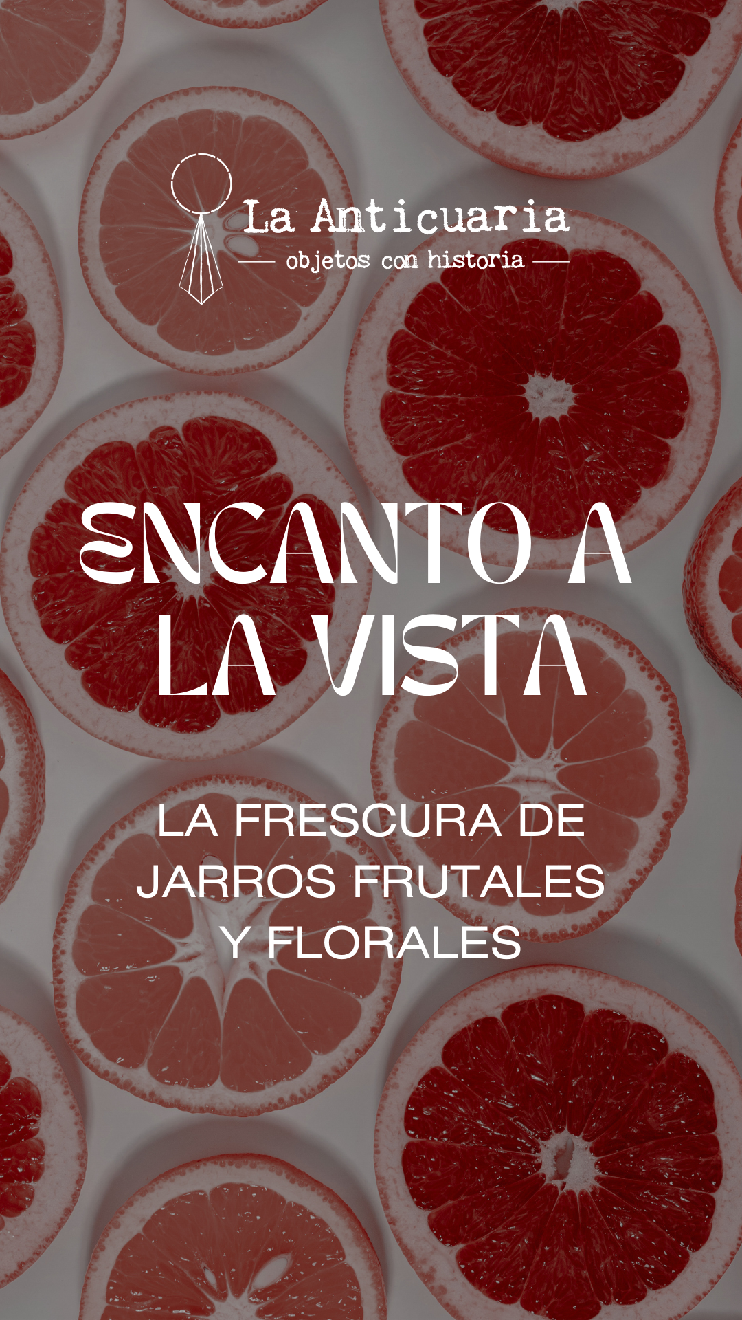 ENCANTO A LA VISTA – JARRONES FRUTALES Y FLORALES