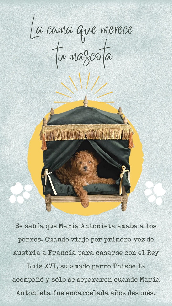 LA CAMA QUE MERECE MI MASCOTA