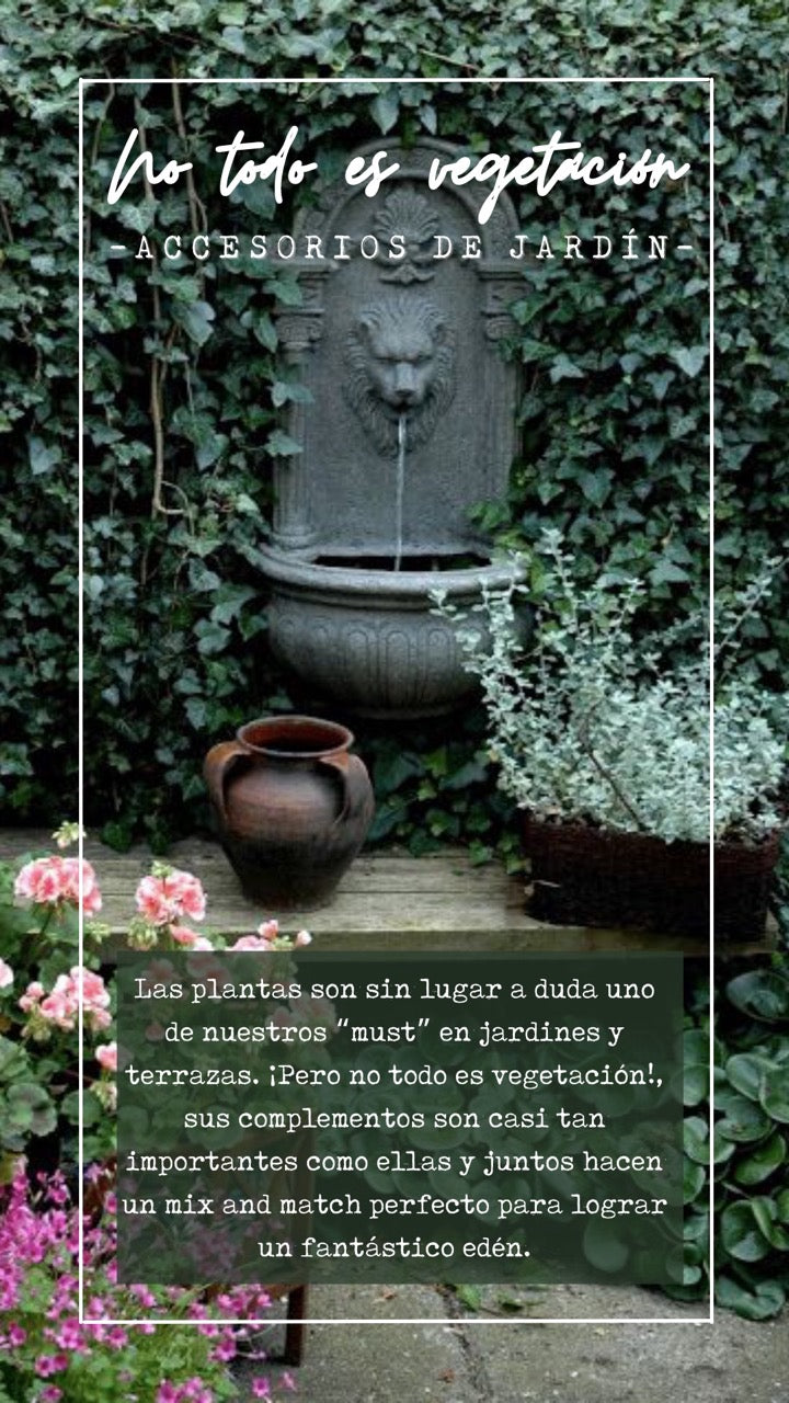 NO TODOS ES VEGETACIÓN