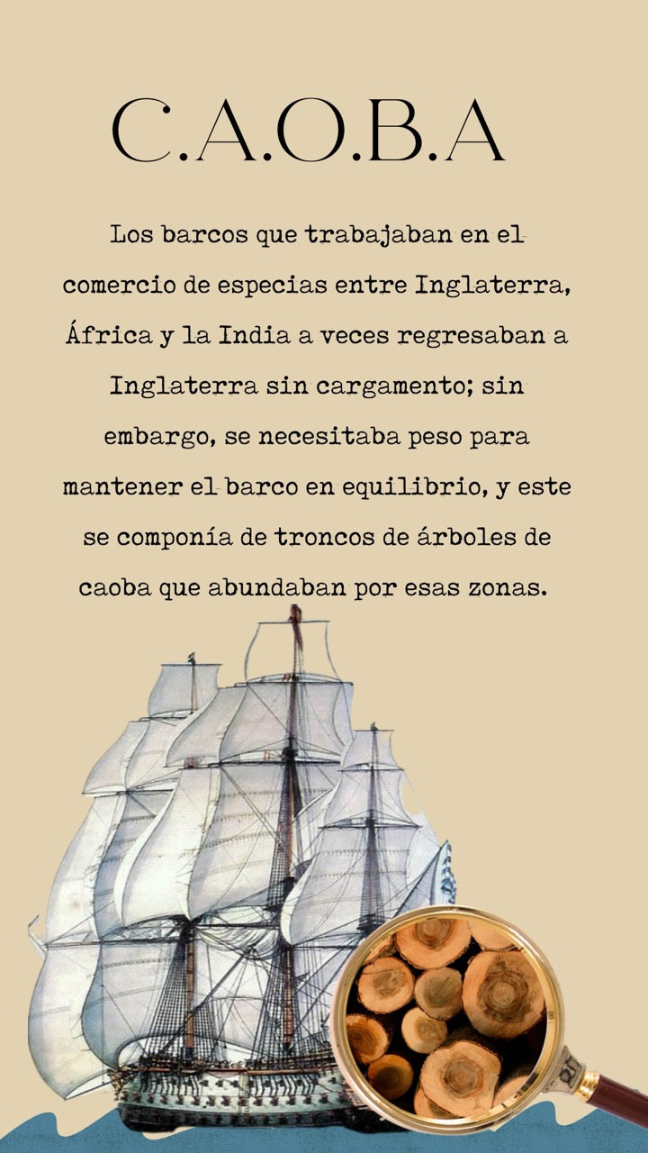 HISTORIA MADERA DE CAOBA