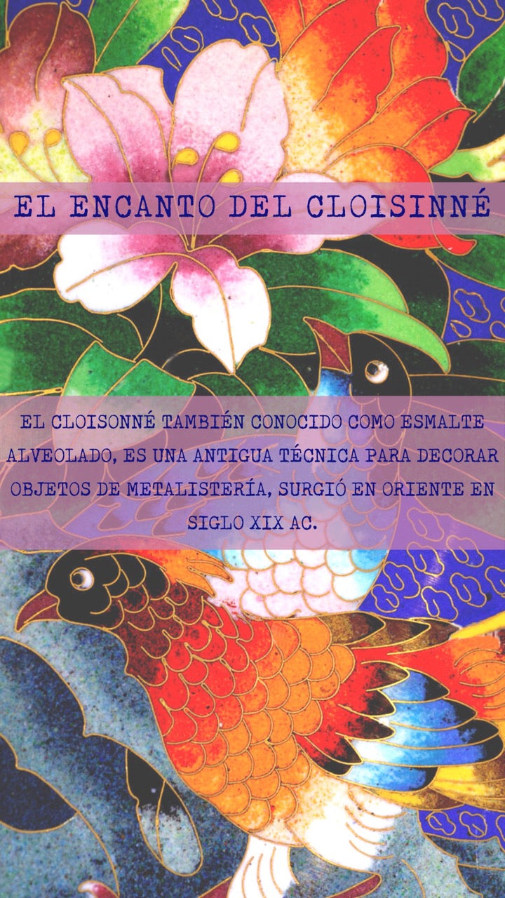 EL ENCANTO DEL CLOISSINÉ