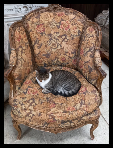 I.4469 SILLÓN LUIS XV