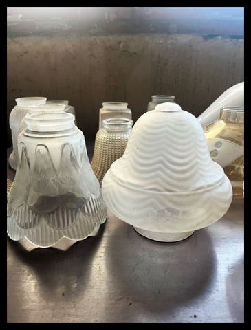 II.3834 TULIPAS DIVERSA