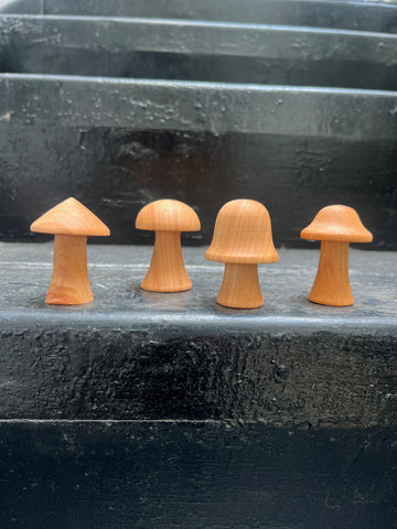 III.1126 Set 4 Hongos