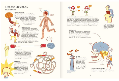 III.1142 Tu Cerebro Es Genial