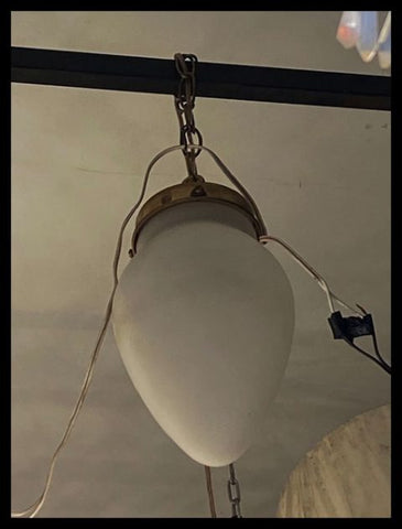 II.2807   TULIPA COLGANTE