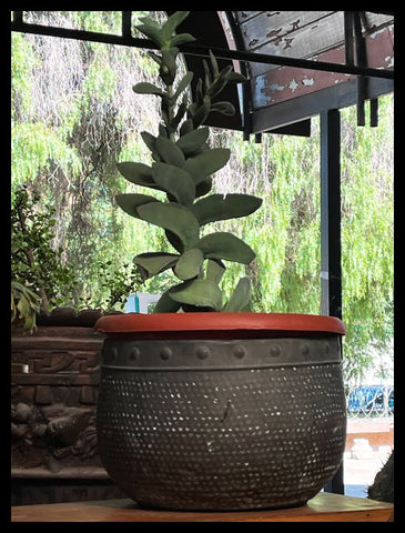 II.3394 MACETA DE FIERRO CON PLANTA