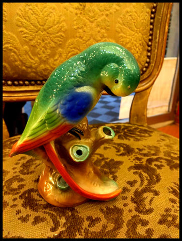 II.2549	LORO FLORERO