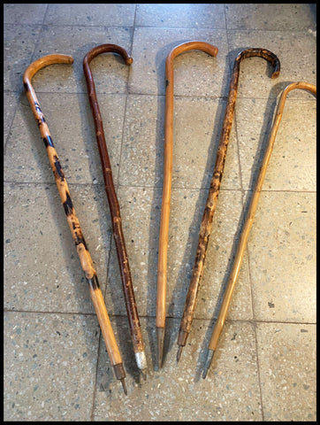 II.3698 BASTONES DE EXCURSIONISTA