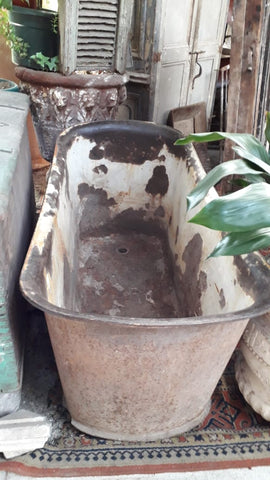 II.1947 TINA DE FIERRO