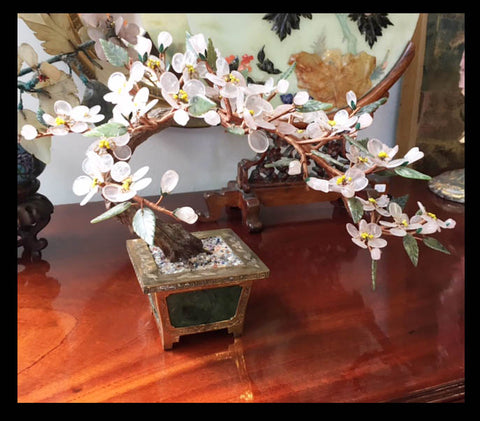 II.756 ÁRBOL DE PIEDRA DURA