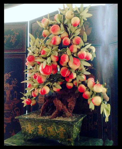 II.841 MANZANERO DE PIEDRA DURA