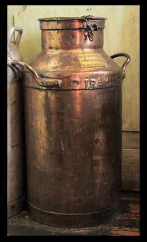 II.174 LECHERO DE COBRE