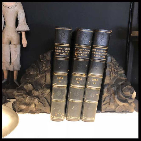 II.1573 APOYA LIBROS DE RESINA