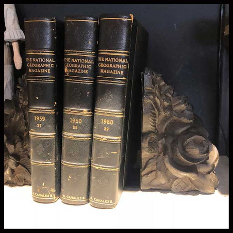 II.1573 APOYA LIBROS DE RESINA