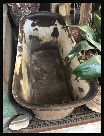 II.1947 TINA DE FIERRO