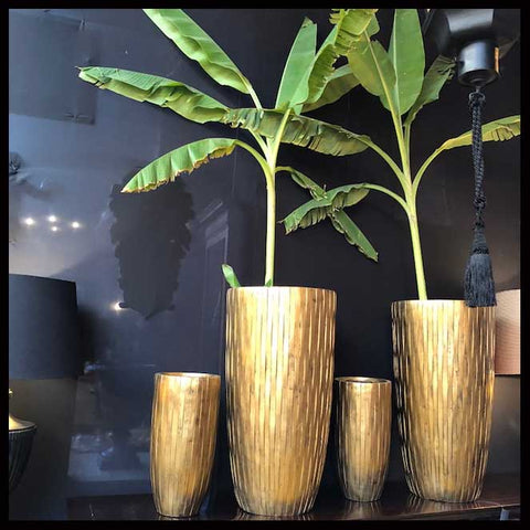 II.1624 FLOREROS DORADOS