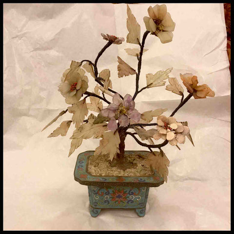 II.1012 ARBOL DE PIEDRA DURA