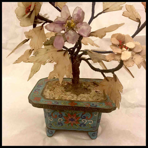 II.1012 ARBOL DE PIEDRA DURA