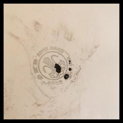 II.1115 GRAN FUENTE ENLOZADA