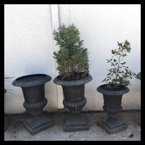 II.1145 MACETAS DE FIERRO NEGRAS