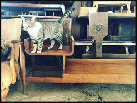 I.1201 BANQUETA SÓNICA CON MESITA