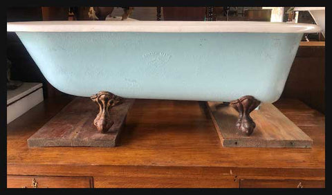 II.2113 TINA ANTIGUA