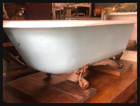 II.2113 TINA ANTIGUA